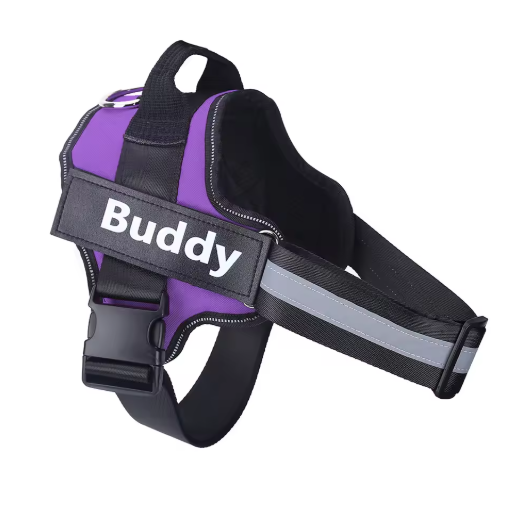 Personalized No Pull Dog Harness