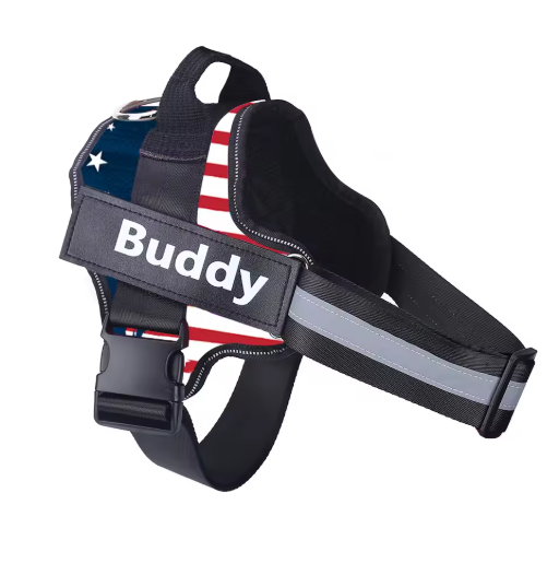 Personalized No Pull Dog Harness
