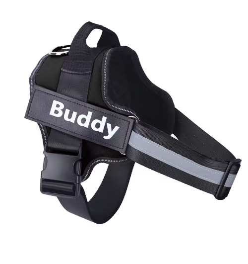 Personalized No Pull Dog Harness