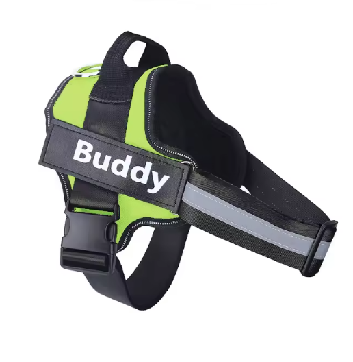 Personalized No Pull Dog Harness
