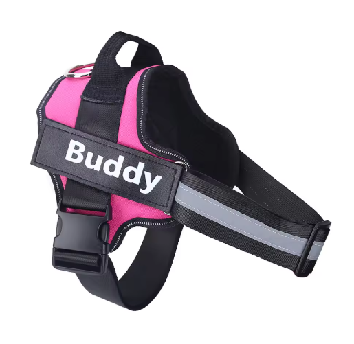 Personalized No Pull Dog Harness