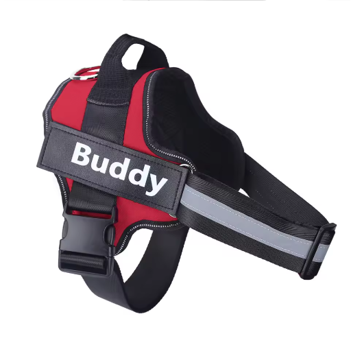 Personalized No Pull Dog Harness